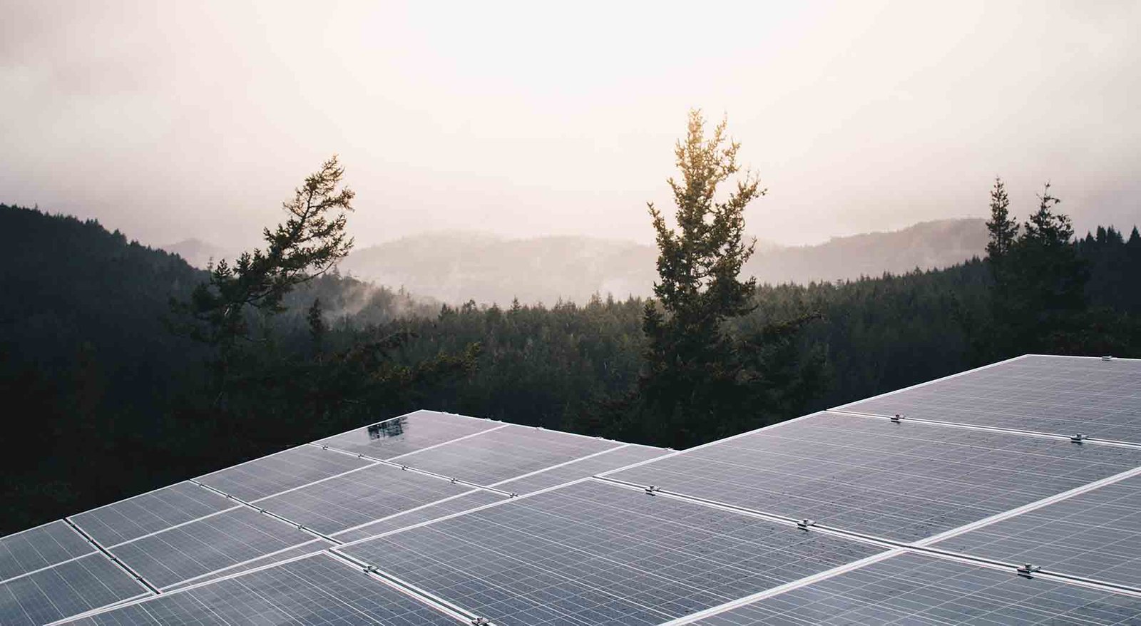 Campo de placas solares al atardecer